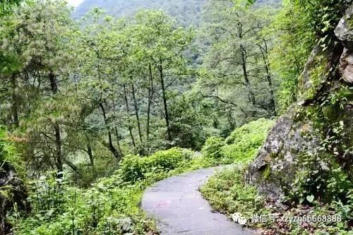 海岛纪元