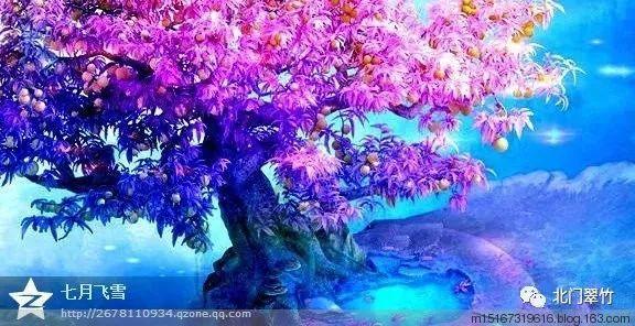 国家消防救援山东机动队伍进驻